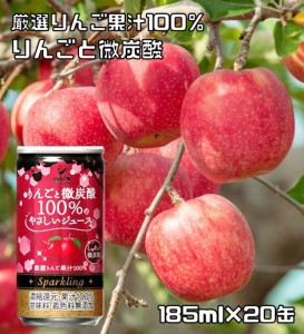 りんごと微炭酸 100%のやさしいジュース 185ml×20缶 神戸居留地 りんごジュース アップルジュース 富永貿易  サイダー