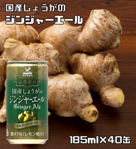 国産生姜ジンジャー 185ml×40缶 神戸居留地 生姜ジュース しょうがジュース 炭酸 スパークリング 富永貿易