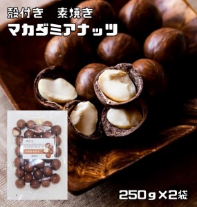 マカダミアナッツ 殻付き 素焼き 250ｇ×2袋 世界美食探究 （メール便）ナッツ 希少 殻 ベトナム産 おつまみ おやつ 無塩 無油 マカデミ