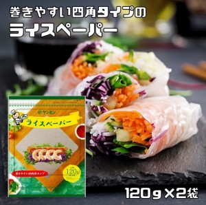 ライスペーパー 120g×2袋 四角いタイプ ケンミン （メール便）生春巻きの皮 健民 エスニック食材 ベトナム料理 お米の皮 グルテンフリー