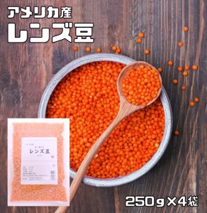 レンズ豆 皮むき 1kg 豆力 赤 アメリカ産 れんずまめ レンティルピース 皮なし 国内加工 乾燥豆 豆類 乾燥豆 スープ 輸入豆