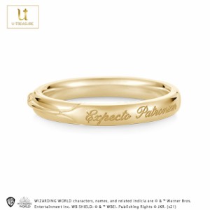 ハリーポッター グッズ リング 指輪 アクセサリー ジュエリー Harry Potter Ring K18イエローゴールド ペア ユニセックス プレゼント