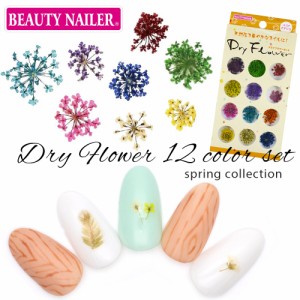 BEAUTY NAILER(ビューティーネイラー) ドライフラワー 12色セット コゴメナデシコ [DRF-3] 押し花ネイル 春ネイル 花柄 フラワー ジェル