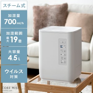 加湿器 スチーム式加湿器 スチーム式 雑菌 エコ