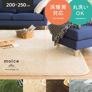 200×250cm ラグ マット 洗える おしゃれ 防ダニ加工 北欧