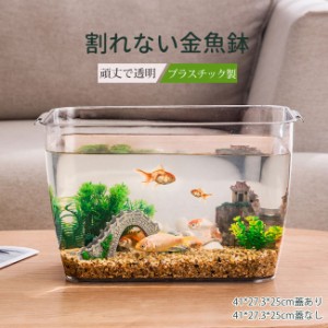 【即納】翌日発送 金魚鉢 メダカ 透明 水槽 アクアリウム ボトルアクアリウム バブルボウル ボトルテラリウム 苔テラリウム コケリウム