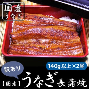 お中元・ご贈答  うなぎ 鰻 国産 うなぎ長蒲焼140ｇ以上×２尾　訳あり 国産（鹿児島県）送料無料 ウナギ 蒲焼 ワケアリ お中元 ご贈答に