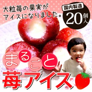 いちご 苺 イチゴ  まるごと苺アイス ２０粒 大粒の果実がまるごとアイスに♪【送料無料】 敬老の日 ご贈答 のし可