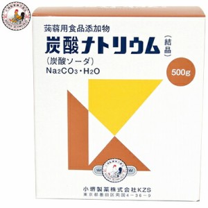 炭酸ナトリウム 食添 500g ＊小堺製薬 食品添加物 食添