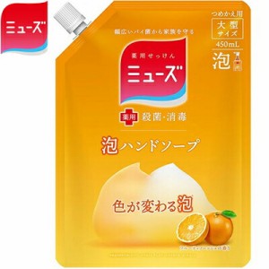 薬用ミューズ 泡ハンドソープ フルーティフレッシュの香り つめかえ/詰め替え 450mL ＊医薬部外品 レキットベンキーザー ミューズ 石鹸 