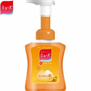 薬用ミューズ 泡ハンドソープ フルーティフレッシュの香り 本体 250mL ＊医薬部外品 レキットベンキーザー ミューズ 石鹸 ハンドソープ 