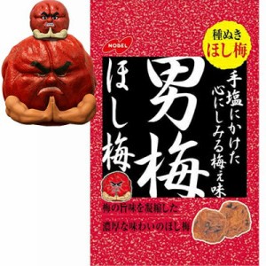 男梅ほし梅 20g×6袋 ＊ノーベル製菓 男梅 お菓子 ドライ果実お菓子