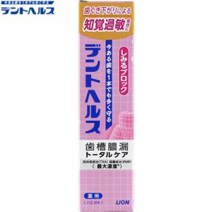 デントヘルス 薬用ハミガキ しみるブロック 28g ＊医薬部外品 ライオン デントヘルス オーラルケア デンタルケア 虫歯予防 歯みがき 歯磨