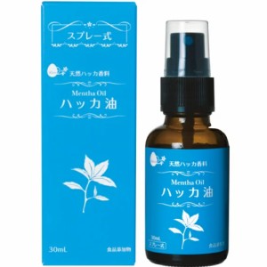 ハッカ油 スプレー式 30mL ＊小堺製薬