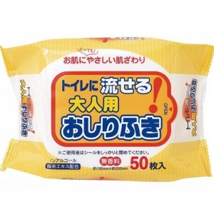 トイレに流せる大人用おしりふき 50枚入 ＊ペーパーテック