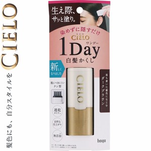 シエロ ワンデー 白髪かくし ダークブラウン 9mL ＊ホーユー CIERO