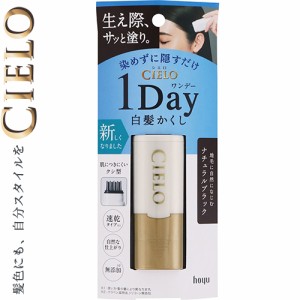 シエロ ワンデー 白髪かくし ナチュラルブラック 9mL ＊ホーユー CIERO