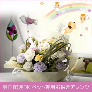 お盆 初盆 新盆 お供え お悔やみ 法事 ご葬儀 虹の橋 (ペット専用のお供えアレンジメント)