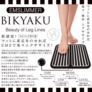 Ems テレビ ショッピングの通販 Au Pay マーケット