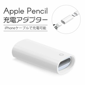  Apple Pencil 充電 変換アダプタ アップルペンシル 変換 USB USBケーブル USBケーブル変換アダプタ 充電ケーブル ケーブル iPad pro カ