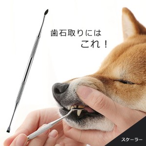 ペット用 スケーラー 歯石 歯石取り 犬 猫 ネコ 歯磨き 安全 口腔ケア 器具 犬用 猫用 ヘルスケア デンタルケア デンタルヘルス 歯石とり