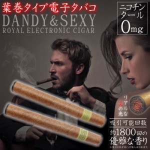 電子タバコ 電子たばこ 葉巻タイプ Dandy Sexy 禁煙グッズ 送料無料 の通販はau Wowma ワウマ ショッピング ラボ 商品ロットナンバー