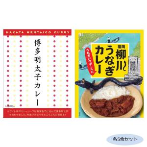 ご当地カレー 福岡博多明太子カレー 柳川うなぎカレー うなぎパウダー入り 各5食セットの通販はau Pay マーケット ちょっとみてっ亭 商品ロットナンバー