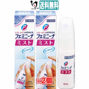 【第2類医薬品】★フェミニーナミスト 30mL×2個セット【小林製薬】スプレータイプのかゆみ止め デリケートゾーンのかゆみ・かぶれに