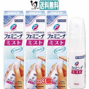 【第2類医薬品】★フェミニーナミスト 30mL×3個セット【小林製薬】スプレータイプのかゆみ止め デリケートゾーンのかゆみ・かぶれに