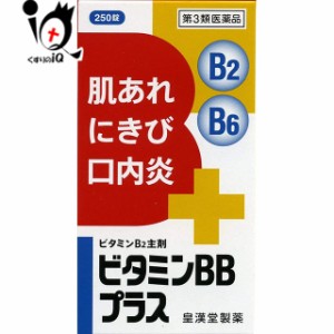 【第3類医薬品】ビタミンBBプラス「クニヒロ」250錠【皇漢堂製薬】