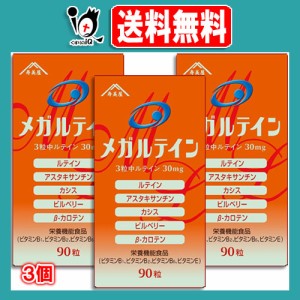 すみや　メガルテイン　90粒（約30日分） ×3個セット 【すみや】