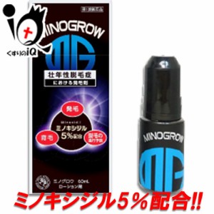 【第1類医薬品】ミノグロウ 60ml【岩城製薬】ミノキシジル5％配合 発毛 育毛 脱毛 抜け毛