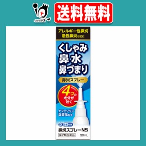 【第2類医薬品】★鼻炎スプレーNS 30mL【中央製薬】ナザールスプレーと同じ成分配合 鼻炎用 点鼻薬 花粉症 薬 花粉 かふん くしゃみ 鼻水