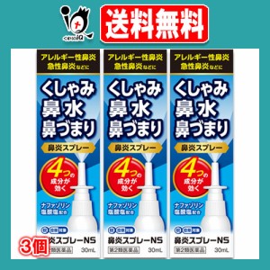 【第2類医薬品】★鼻炎スプレーNS 30mL×3個セット【中央製薬】ナザールスプレーと同じ成分配合 鼻炎用 点鼻薬 花粉症 薬 花粉 かふん く