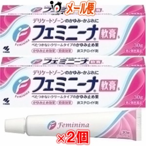 【第2類医薬品】★フェミニーナ  軟膏S 30g × 2個セット（鎮痒消炎薬）【小林製薬】【メール便】