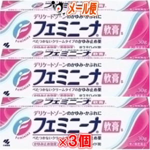 【第2類医薬品】★フェミニーナ  軟膏S 30g × 3個セット（鎮痒消炎薬）【小林製薬】【メール便】