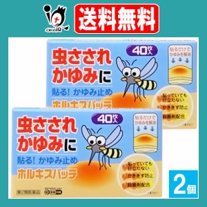 【第2類医薬品】★ホルキスパッチ 40枚×2個セット【テイコクファルマケア】貼るかゆみ止め 虫さされ、かゆみ、しもやけ等かゆいところに