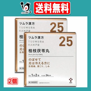 【第2類医薬品】ツムラ漢方 桂枝茯苓丸料エキス顆粒A (ケイシブクリョウガン) 48包（24日分）× 2個セット【ツムラ】