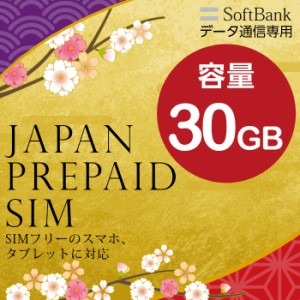 プリペイドsim SIMカード SIM card プリペイド プリペイドsimカード softbank ソフトバンク 30GB マルチカットsim マルチカット MicroSIM