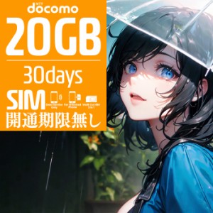 プリペイドSIM プリペイド SIM card 日本 docomo 20GB 30日間 開通期限なし SIMカード マルチカットSIM MicroSIM NanoSIM ドコモ simフリ