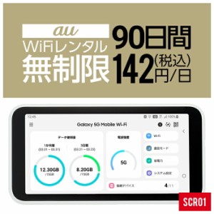 レンタル wifi レンタル 無制限 90日 3ヵ月 即日発送 契約不要 SoftBank ソフトバンク ドコモ au ポケットWifi 旅行 引っ越し キャンプ 