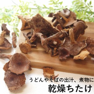 ギフト ちち茸 乾燥 40g×10袋 ちたけ 乳茸 チチタケ ちちたけ チタケ ち茸 通販 キノコ きのこ なまため 祝 ギフト ヘルシー お取り寄せ