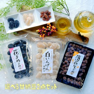 甘納豆 2点 メール便 お土産 誕生日祝 プチギフト プレゼント 通販 菓子 豆菓子 和菓子 徳用 詰め合わせ 仏事 ポイント消化 お試し 送料