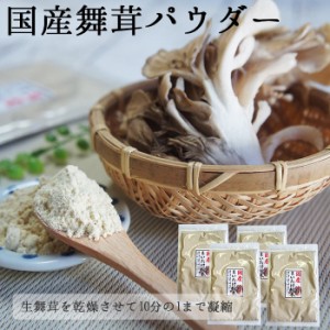 舞茸粉末40g×4袋 メール便 舞茸茶 国産 パウダー まいたけ マイタケ 粉末 詰め替え用袋タイプ 通販 きのこ なまため 胆汁酸ダイエット  