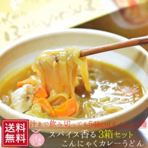 こんにゃく麺 こんにゃく カレー うどん箱 2食入×3箱セット こんにゃく ダイエット 通販 料理 ヌードル 蒟蒻 コンニャク こんにゃくラー