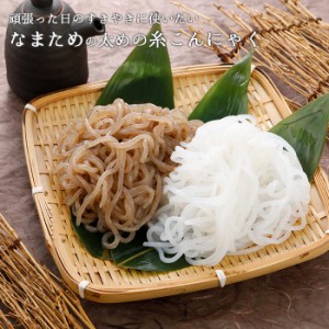 こんにゃく麺 糸こんにゃく 250ｇ×10袋セット プレーンまたは海藻入り白滝 うどん そば ラーメン 焼きそばの麺に。糖質制限 蒟蒻 コンニ