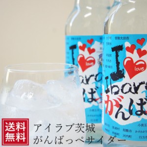 サイダー ご当地サイダー ギフト アイラブいばらきがんばっぺサイダー340ml×20本（1箱） 茨城 ドリンク 土産 祝 ギフト ジュース 5298 