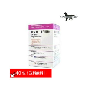 共立製薬 ネフガード顆粒 お試し 犬猫用 体重21kg〜30kg 1日4包 10日分(400mg×40包）送料無料 （ポスト投函便）