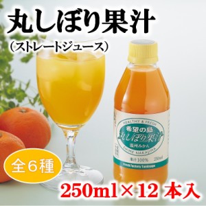 希望の島 丸しぼり果汁 250ml 12本 みかんジュース オレンジジュース 無添加 ストレート 果汁100% 愛媛 中島産
