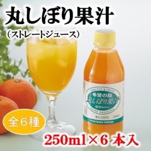 希望の島 丸しぼり果汁 250ml 6本 みかんジュース オレンジジュース 無添加 ストレート 果汁100% 愛媛 中島産